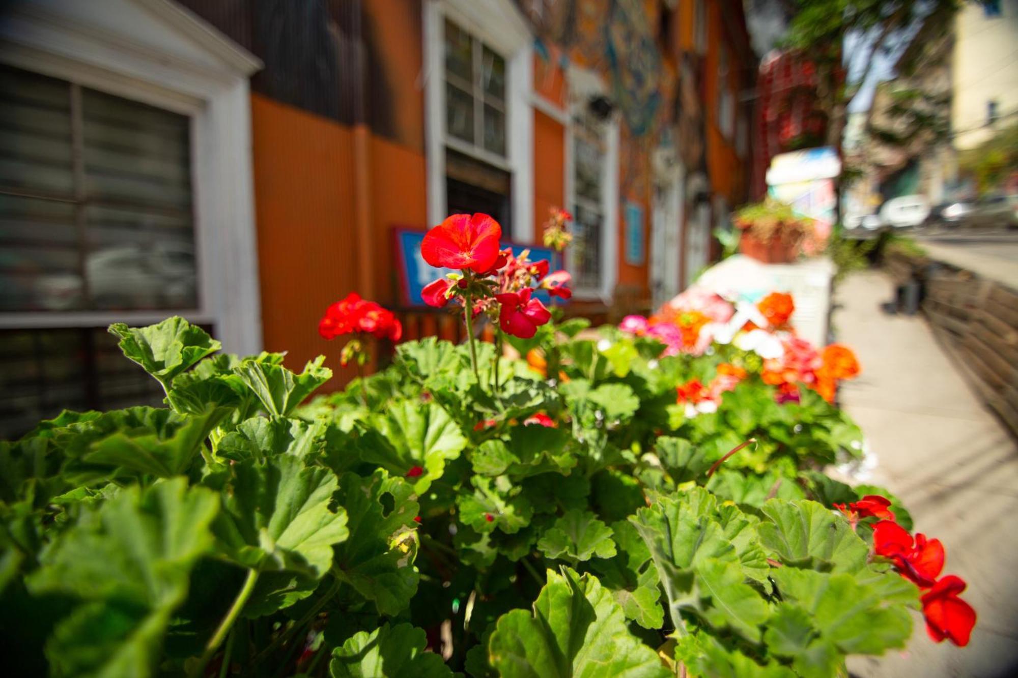 La Casa Del Puerto, Hostal Cultural, Cerro Alegre Valparaíso Exterior foto